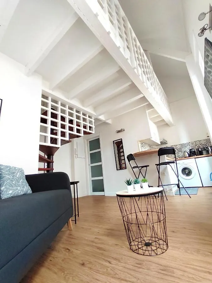 Lourdes : Duplex A 500M De La Grotte Apartment